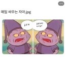 낭만을 좇기