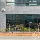 상하천로 | 내포 카페 먼동 분위기도 좋은데 작업하기도 좋았쮸