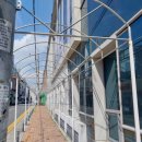 수성구보건소 본관 이미지