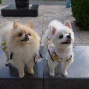 미미하우스 이미지