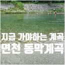 양평동막골 | 연천 동막계곡 지금 가야하는 서울근교 당일치기 계곡 물놀이