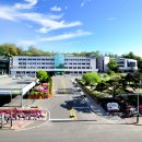 횡성군청 민원실 이미지