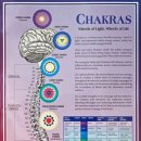챠크라 이미지