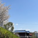 대구 만촌동 피콜로라떼 : 호주식카페
