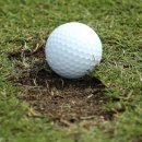 그린골프아카데미 이미지