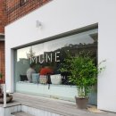# 서울 부암동 반려동물 동반카페 &#34;무네(Mume)&#34;