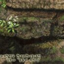 미술홈패션