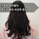 선릉역 뿌리매직 후기 엘도라헤어 친절하신 서상득 원장님