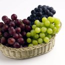 더공감행정사사무소 이미지