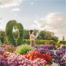 피나클랜드 | 아산 피나클랜드 솔직 후기: 입장료 16,000원, 과연 아깝지 않았을까? (국화, 불빛축제)