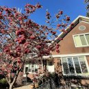 다운타운 이미지