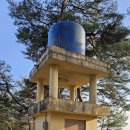 마리장풍숲 이미지