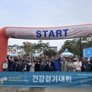 거북이건강