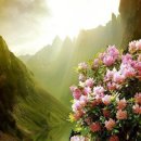 인생신호등 이미지