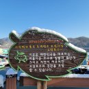 고삼호수낚시터
