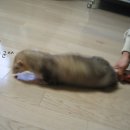 서울역비너스 이미지