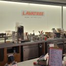 라바트리(LAVATREE) 이미지