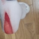 생활요가 1반 이미지