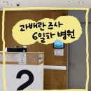 임신준비 챕터8. 시험관 1차 과배란주사 5일차 후기 /난포갯수/ 퓨레곤 IVF-M 아인병원