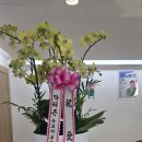 닥터88플러스 닥터존 이미지