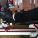 군포정형외과의원 이미지