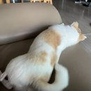 제이앤제이그루밍 이미지