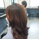 대교남성컷트 이미지