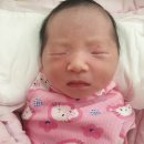 [예술 夜] 옷으로 영화 읽기, 영화로 패션 알기 | 2022 결산, 2023 계획