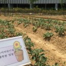 상상정원 어린이집 네이버블로그