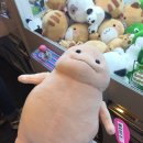 뽑아봅세 이미지