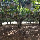 자연부동산공인중개사사무소 이미지