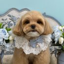 몽글멍글 이미지