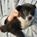 화산부화장 이미지