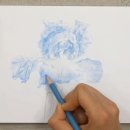 보테니컬아트(색연필그림) 이미지