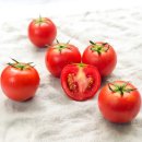토마토 이미지