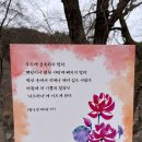 삼국테라피 이미지
