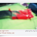 고양이이야기 이미지