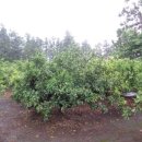 색달동 마을회관 이미지