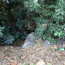 하늬보름 이미지