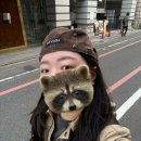 터틀짐 영통점 | 가을 교토 아라시야마 6박7일 2️⃣: 도롯코 열차, 호즈강 뱃놀이