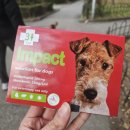 제이에스 동물병원 이미지