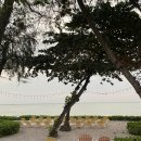 따봉세탁소 | [후아힌 붐은 온다💛] 5박 6일 후아힌 여행 4일차│더 스탠다드 후아힌 수영장, 조식, 레스토랑 프라카...