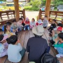 큰별숲유치원 | 큰별유치원 7세 숲체험