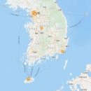 초이스 그루밍 이미지