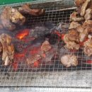 차령펠리스