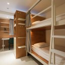 맹그로브 신설 이미지