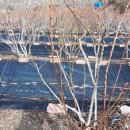 목골농장 이미지