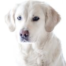 지수동물병원 이미지