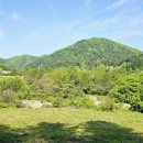 솔치농로 이미지