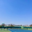 홍리데이 | [잠실] 올림픽공원 테니스장 예약 방법 / 주차 / 이용 후기 (실외/실내)